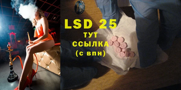 PSILOCYBIN Балабаново